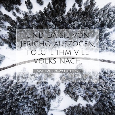 Picture 07 - Matthäus 20:29 LUTH1912 - Und da sie von Jericho auszogen, folgte ihm viel - Bible Verse Picture