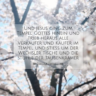 Picture 07 - Matthäus 21:12 LUTH1912 - Und Jesus ging zum Tempel Gottes hinein und trieb - Bible Verse Picture