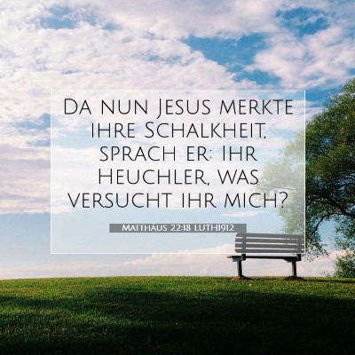 Picture 07 - Matthäus 22:18 LUTH1912 - Da nun Jesus merkte ihre Schalkheit, sprach er: - Bible Verse Picture