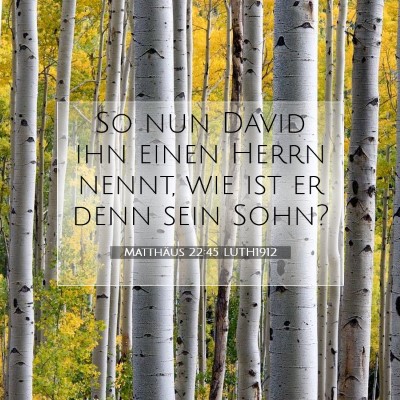 Picture 07 - Matthäus 22:45 LUTH1912 - So nun David ihn einen Herrn nennt, wie ist er - Bible Verse Picture