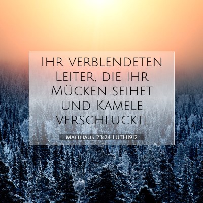 Picture 07 - Matthäus 23:24 LUTH1912 - Ihr verblendeten Leiter, die ihr Mücken seihet - Bible Verse Picture