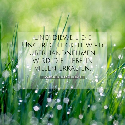 Picture 07 - Matthäus 24:12 LUTH1912 - und dieweil die Ungerechtigkeit wird - Bible Verse Picture