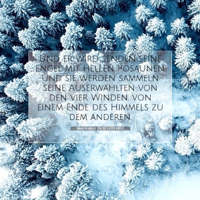 Picture 07 - Matthäus 24:31 LUTH1912 - Und er wird senden seine Engel mit hellen - Bible Verse Picture