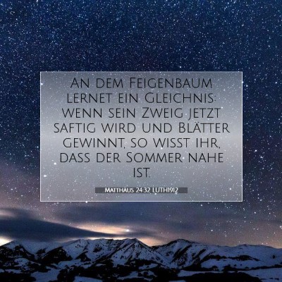 Picture 07 - Matthäus 24:32 LUTH1912 - An dem Feigenbaum lernet ein Gleichnis: wenn sein - Bible Verse Picture