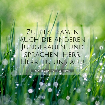 Picture 07 - Matthäus 25:11 LUTH1912 - Zuletzt kamen auch die anderen Jungfrauen und - Bible Verse Picture