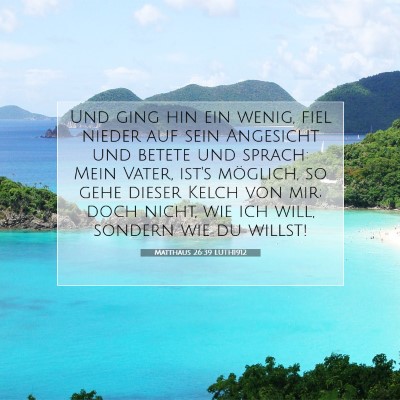 Picture 07 - Matthäus 26:39 LUTH1912 - Und ging hin ein wenig, fiel nieder auf sein - Bible Verse Picture