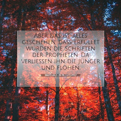 Picture 07 - Matthäus 26:56 LUTH1912 - Aber das ist alles geschehen, daß erfüllet - Bible Verse Picture