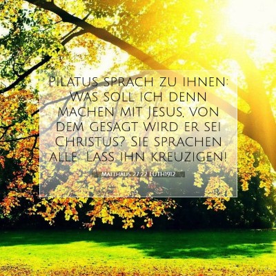 Picture 07 - Matthäus 27:22 LUTH1912 - Pilatus sprach zu ihnen: Was soll ich denn machen - Bible Verse Picture