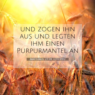 Picture 07 - Matthäus 27:28 LUTH1912 - und zogen ihn aus und legten ihm einen - Bible Verse Picture