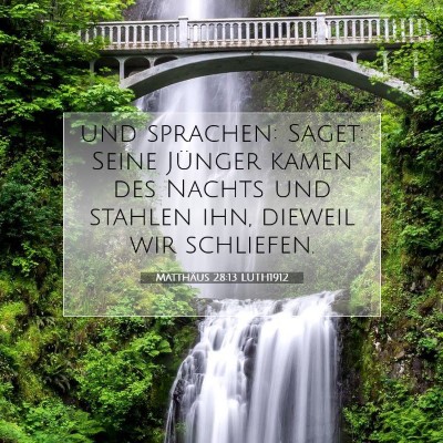 Picture 07 - Matthäus 28:13 LUTH1912 - und sprachen: Saget: Seine Jünger kamen des - Bible Verse Picture