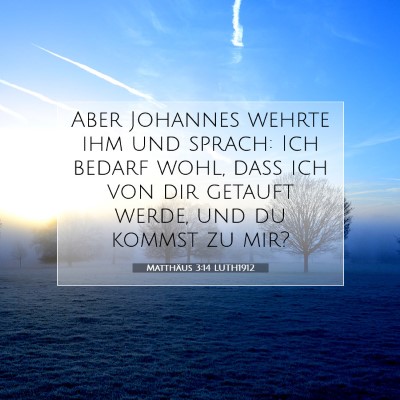 Picture 07 - Matthäus 3:14 LUTH1912 - Aber Johannes wehrte ihm und sprach: Ich bedarf - Bible Verse Picture