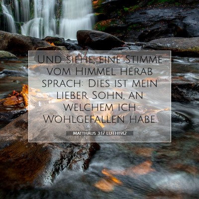 Picture 07 - Matthäus 3:17 LUTH1912 - Und siehe, eine Stimme vom Himmel herab sprach: - Bible Verse Picture