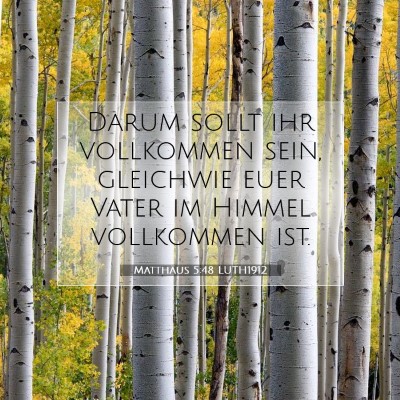 Picture 07 - Matthäus 5:48 LUTH1912 - Darum sollt ihr vollkommen sein, gleichwie euer - Bible Verse Picture
