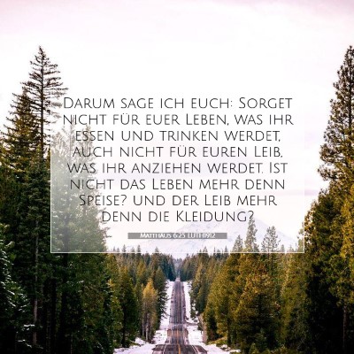 Picture 07 - Matthäus 6:25 LUTH1912 - Darum sage ich euch: Sorget nicht für euer - Bible Verse Picture