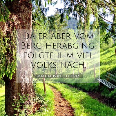 Picture 07 - Matthäus 8:1 LUTH1912 - Da er aber vom Berg herabging, folgte ihm viel - Bible Verse Picture
