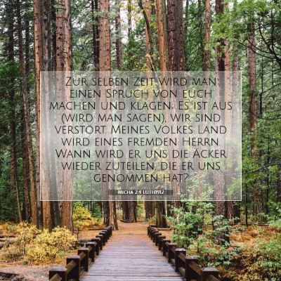 Picture 07 - Micha 2:4 LUTH1912 - Zur selben Zeit wird man einen Spruch von euch - Bible Verse Picture
