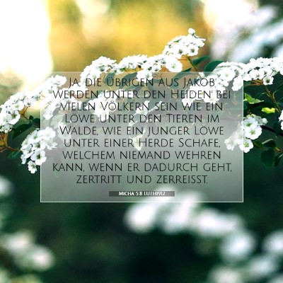 Picture 07 - Micha 5:8 LUTH1912 - Ja, die übrigen aus Jakob werden unter den - Bible Verse Picture
