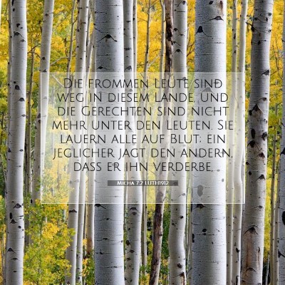 Picture 07 - Micha 7:2 LUTH1912 - Die frommen Leute sind weg in diesem Lande, und - Bible Verse Picture
