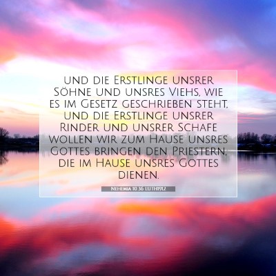 Picture 07 - Nehemia 10:36 LUTH1912 - und die Erstlinge unsrer Söhne und unsres Viehs, - Bible Verse Picture