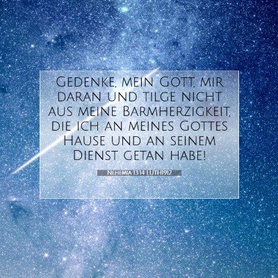Picture 07 - Nehemia 13:14 LUTH1912 - Gedenke, mein Gott, mir daran und tilge nicht aus - Bible Verse Picture