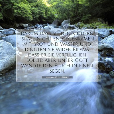 Picture 07 - Nehemia 13:2 LUTH1912 - darum daß sie den Kindern Israel nicht - Bible Verse Picture