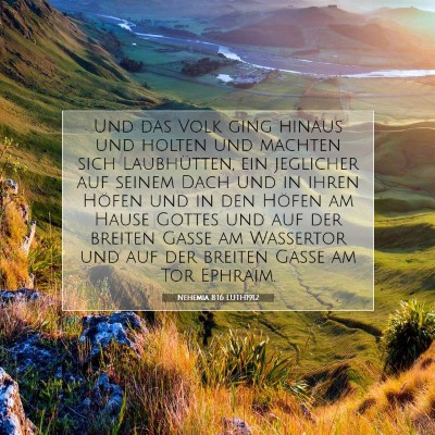 Picture 07 - Nehemia 8:16 LUTH1912 - Und das Volk ging hinaus und holten und machten - Bible Verse Picture
