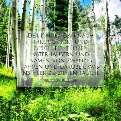 Picture 07 - Numeri 1:38 LUTH1912 - Der Kinder Dan nach ihrer Geburt und Geschlecht, - Bible Verse Picture