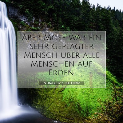 Picture 07 - Numeri 12:3 LUTH1912 - Aber Mose war ein sehr geplagter Mensch über - Bible Verse Picture