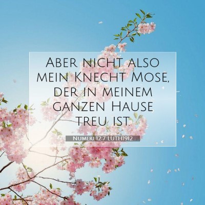 Picture 07 - Numeri 12:7 LUTH1912 - Aber nicht also mein Knecht Mose, der in meinem - Bible Verse Picture