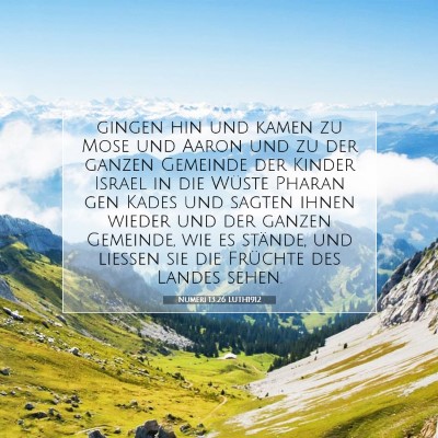 Picture 07 - Numeri 13:26 LUTH1912 - gingen hin und kamen zu Mose und Aaron und zu der - Bible Verse Picture