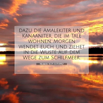 Picture 07 - Numeri 14:25 LUTH1912 - dazu die Amalekiter und Kanaaniter, die im Tale - Bible Verse Picture
