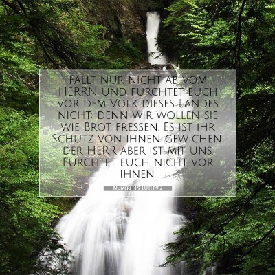 Picture 07 - Numeri 14:9 LUTH1912 - Fallt nur nicht ab vom HERRN und fürchtet euch - Bible Verse Picture