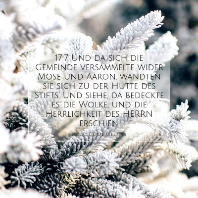 Picture 07 - Numeri 16:42 LUTH1912 - 17:7 Und da sich die Gemeinde versammelte wider - Bible Verse Picture