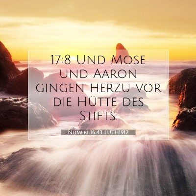 Picture 07 - Numeri 16:43 LUTH1912 - 17:8 Und Mose und Aaron gingen herzu vor die - Bible Verse Picture