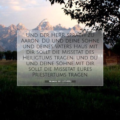 Picture 07 - Numeri 18:1 LUTH1912 - Und der HERR sprach zu Aaron: Du und deine Söhne - Bible Verse Picture