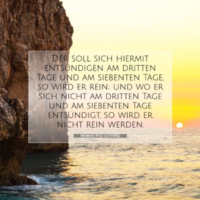 Picture 07 - Numeri 19:12 LUTH1912 - Der soll sich hiermit entsündigen am dritten - Bible Verse Picture