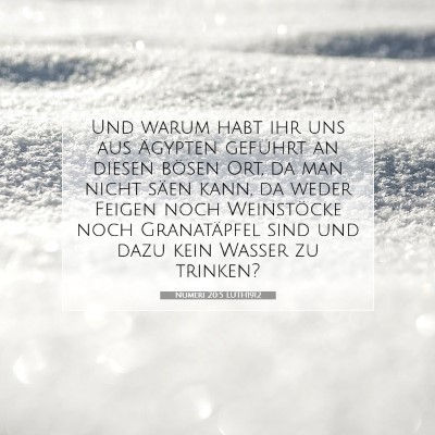 Picture 07 - Numeri 20:5 LUTH1912 - Und warum habt ihr uns aus Ägypten geführt an - Bible Verse Picture