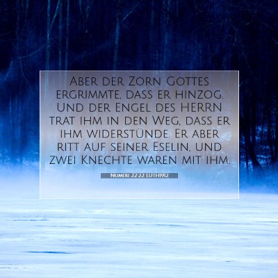 Picture 07 - Numeri 22:22 LUTH1912 - Aber der Zorn Gottes ergrimmte, daß er hinzog. - Bible Verse Picture