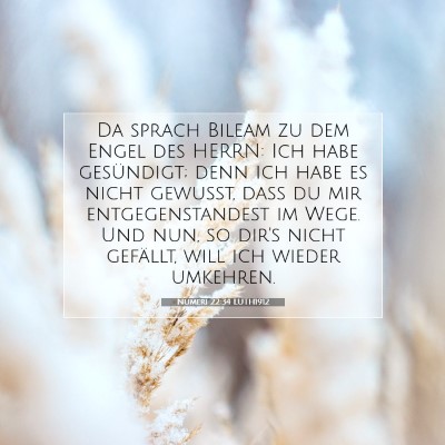 Picture 07 - Numeri 22:34 LUTH1912 - Da sprach Bileam zu dem Engel des HERRN: Ich habe - Bible Verse Picture