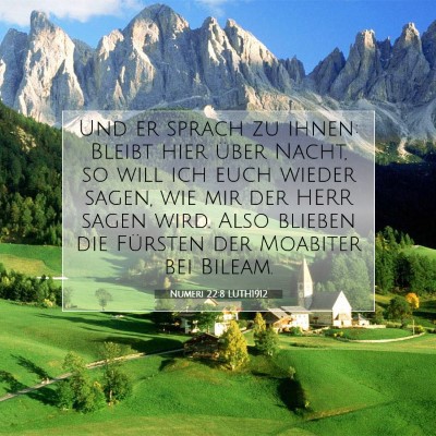 Picture 07 - Numeri 22:8 LUTH1912 - Und er sprach zu ihnen: Bleibt hier über Nacht, - Bible Verse Picture