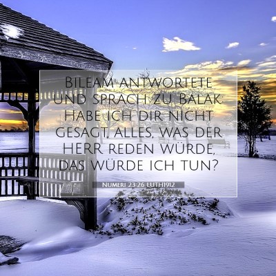 Picture 07 - Numeri 23:26 LUTH1912 - Bileam antwortete und sprach zu Balak: Habe ich - Bible Verse Picture