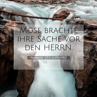 Picture 07 - Numeri 27:5 LUTH1912 - Mose brachte ihre Sache vor den - Bible Verse Picture