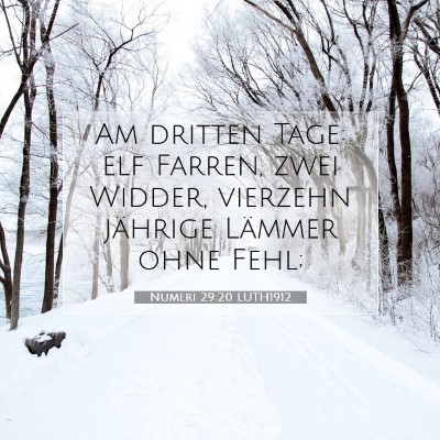 Picture 07 - Numeri 29:20 LUTH1912 - Am dritten Tage: elf Farren, zwei Widder, - Bible Verse Picture