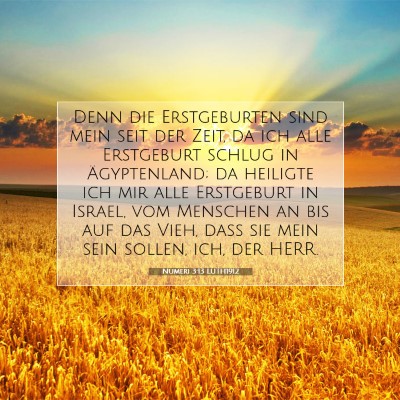 Picture 07 - Numeri 3:13 LUTH1912 - Denn die Erstgeburten sind mein seit der Zeit, da - Bible Verse Picture