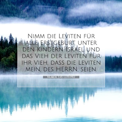 Picture 07 - Numeri 3:45 LUTH1912 - Nimm die Leviten für alle Erstgeburt unter den - Bible Verse Picture