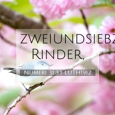 Picture 07 - Numeri 31:33 LUTH1912 - zweiundsiebzigtausend - Bible Verse Picture