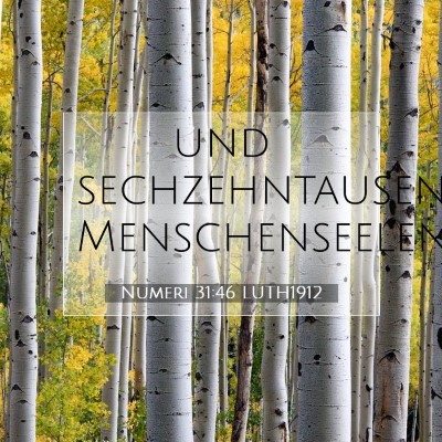 Picture 07 - Numeri 31:46 LUTH1912 - und sechzehntausend - Bible Verse Picture