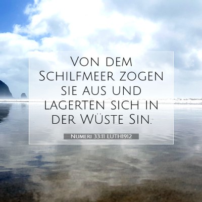 Picture 07 - Numeri 33:11 LUTH1912 - Von dem Schilfmeer zogen sie aus und lagerten - Bible Verse Picture