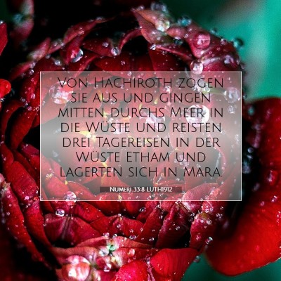 Picture 07 - Numeri 33:8 LUTH1912 - Von Hachiroth zogen sie aus und gingen mitten - Bible Verse Picture