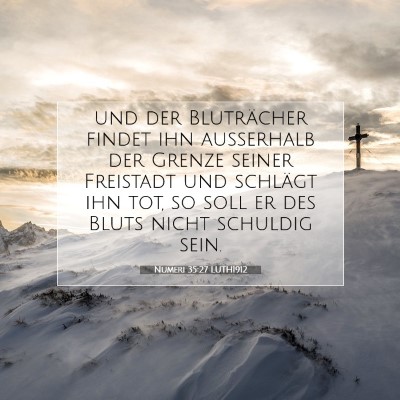 Picture 07 - Numeri 35:27 LUTH1912 - und der Bluträcher findet ihn außerhalb der - Bible Verse Picture